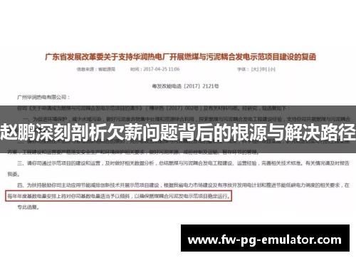 赵鹏深刻剖析欠薪问题背后的根源与解决路径 赵鹏深刻剖析欠薪问题背后的根源与解决路径